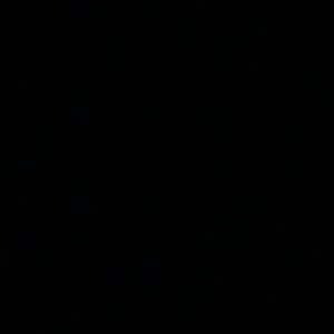 Meet your Posher, Kaider